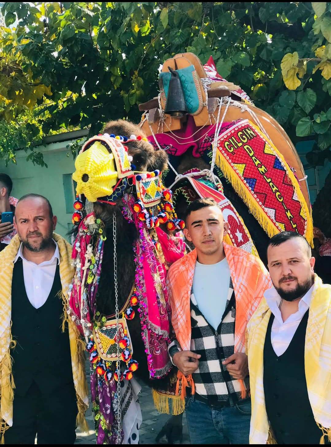 5. KEMALPAŞA DAMLACIK  DEVE GÜREŞLERİ FESTİVALİ İPTAL EDİLDİ