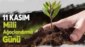 11 Kasım'da Fidanlar Gelecektir.