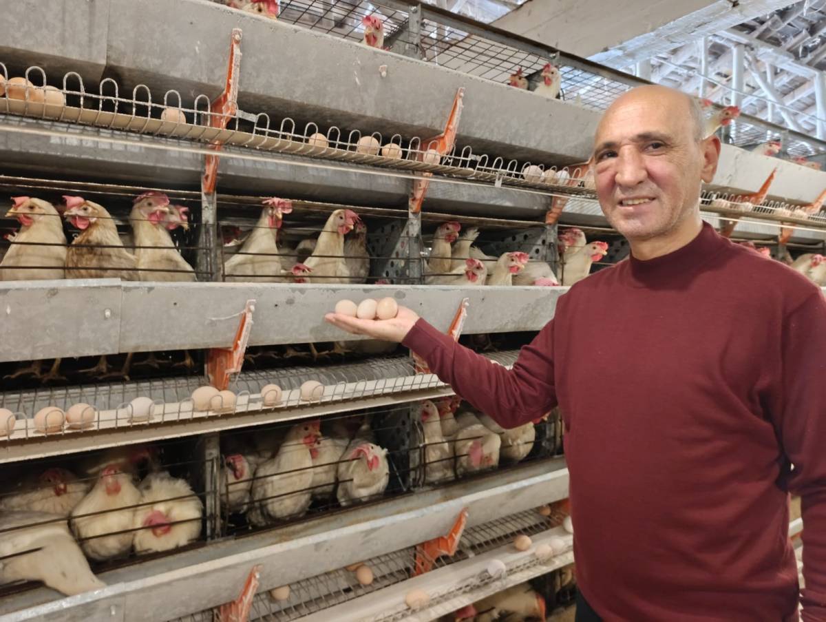 SİMAV’IN KUŞU BELDESİNDE 16 BİN TAVUKLA YUMURTA ÜRETİMİ BAŞLADI
