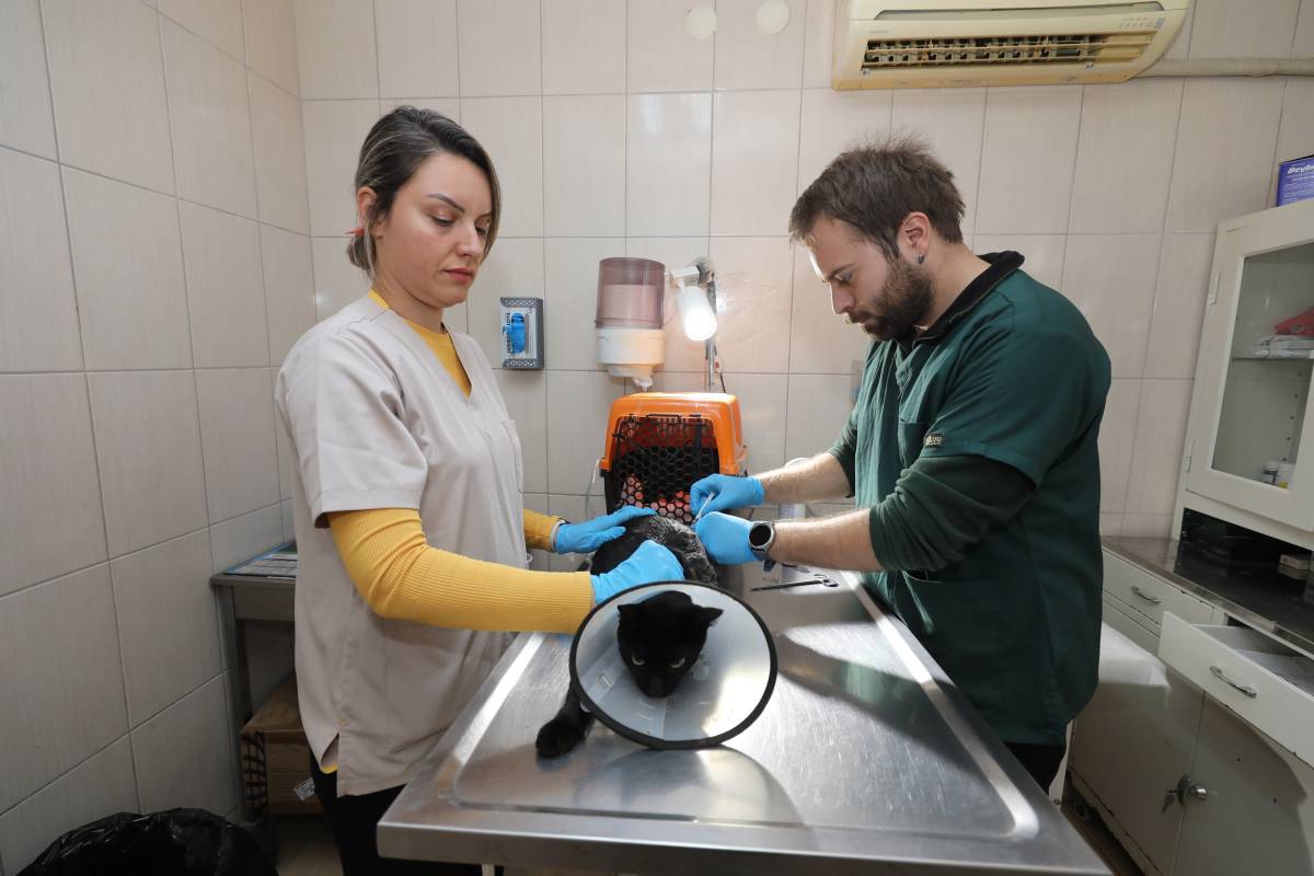 Gaziemir Belediyesi 6 bin 222 can dostun yaşamına dokundu