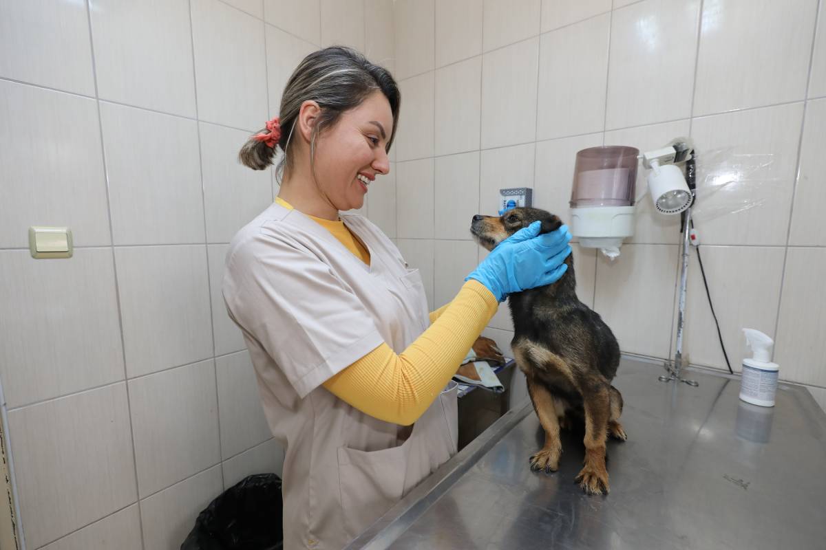 Gaziemir Belediyesi 6 bin 222 can dostun yaşamına dokundu