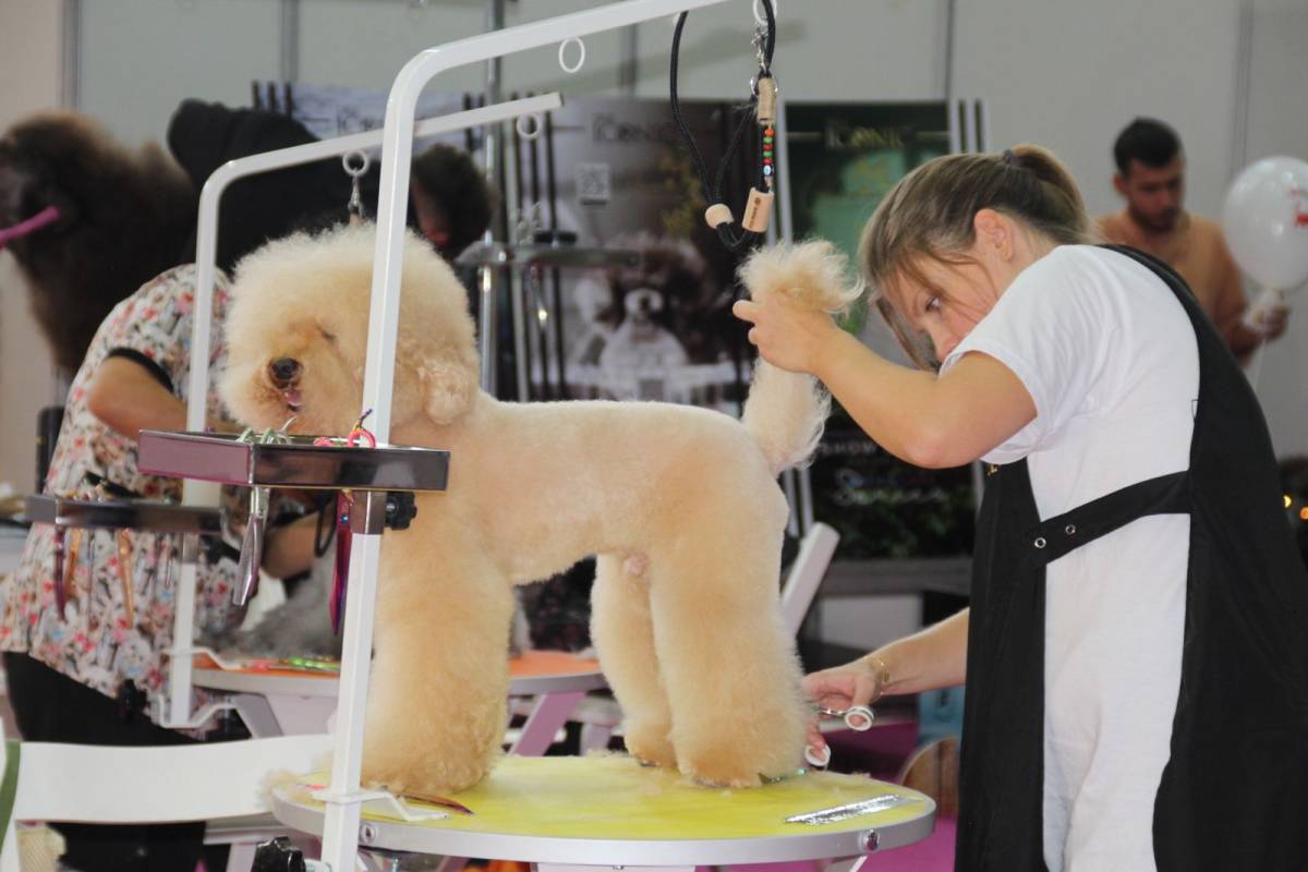 PET İzmir 2026 Fuarı 8 Ocak'ta Kapılarını Açıyor